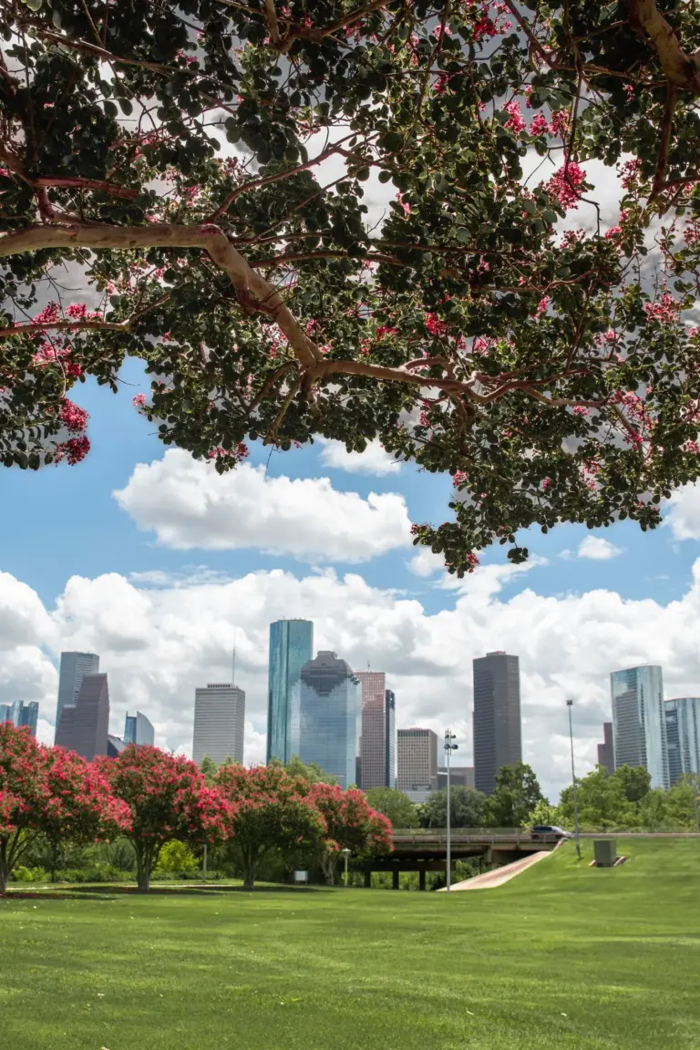 Houston skyline behind blooming trees